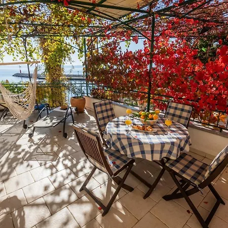 Terrace Apartment *